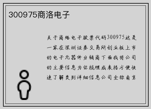 300975商洛电子